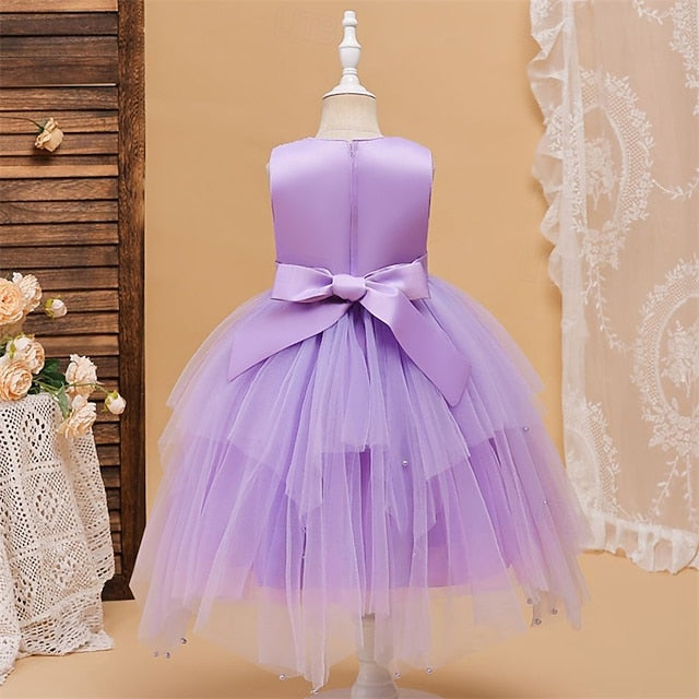 Flower Girl Girls' Princess Dress Kid's