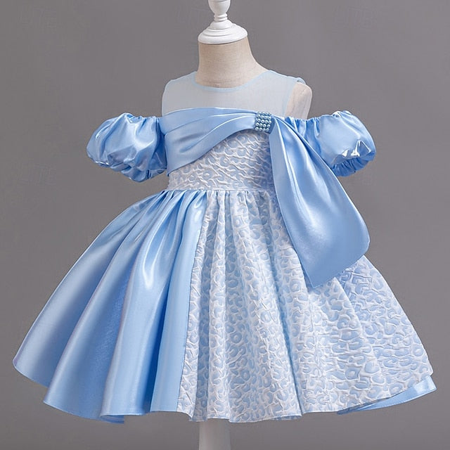 Girl Dress Girls' Formal Flower Wedding Party