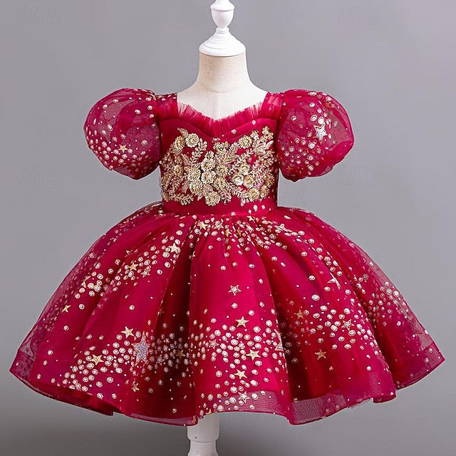 Girl Girls' Dress Sequin Floral Party Flower Kids