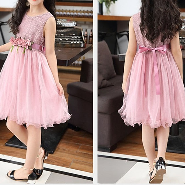 Girl Performance Party Dress Girls' Flower