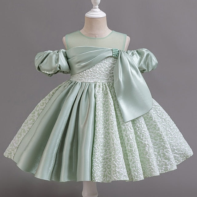 Girl Dress Girls' Formal Flower Wedding Party