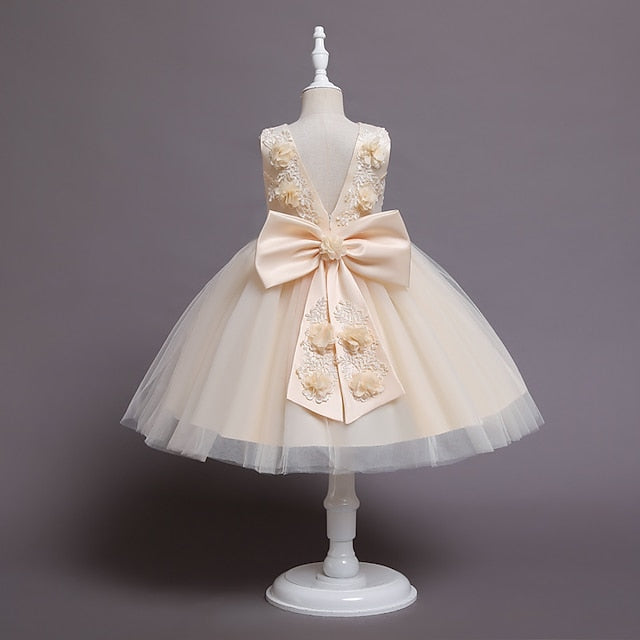 Party Wedding Flower Dress Girls' Girl