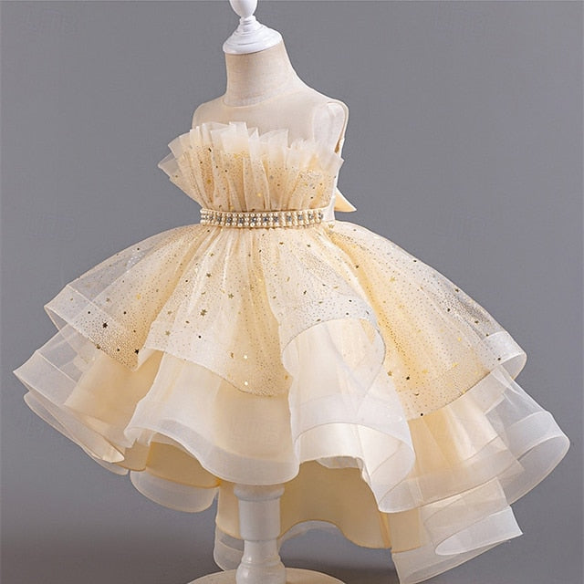 Flower Dress Girl Kid's Girls' Princess