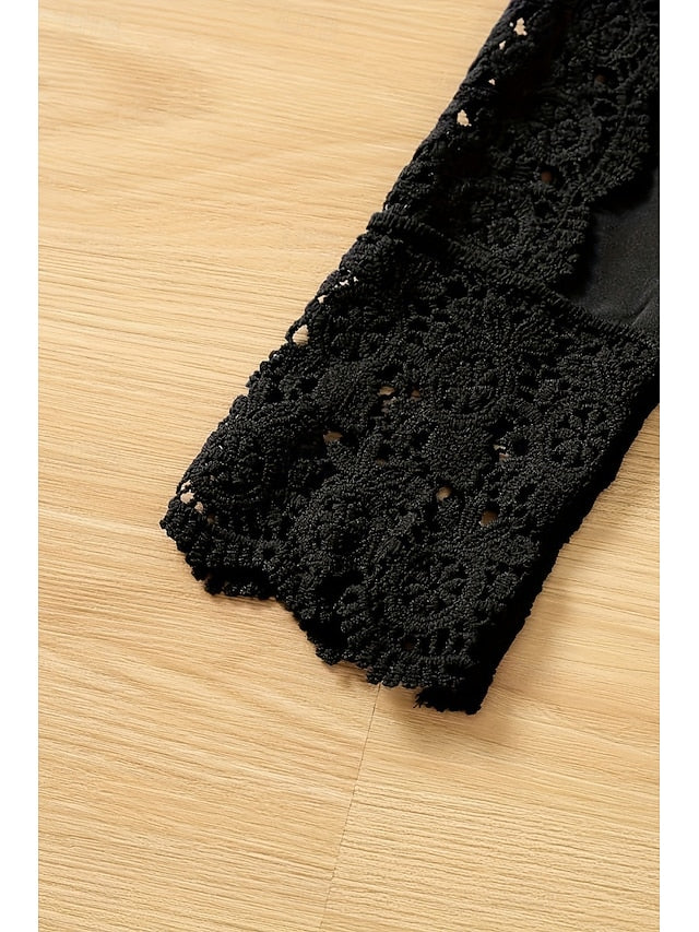 Women's Shirt Lace Plain Daily Stylish Casual Long Sleeve V