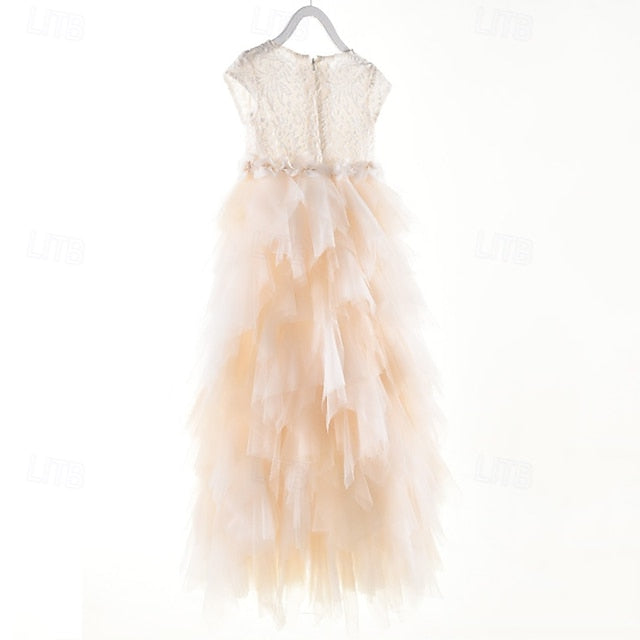 Girls' Princess Kid's Dress Flower Girl