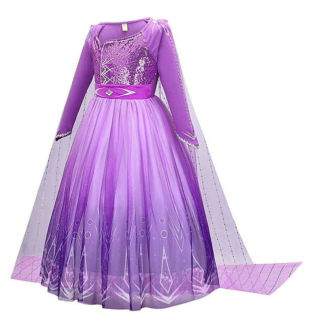 Theme Flower Princess Party Fairytale Anna Dress Frozen Girl