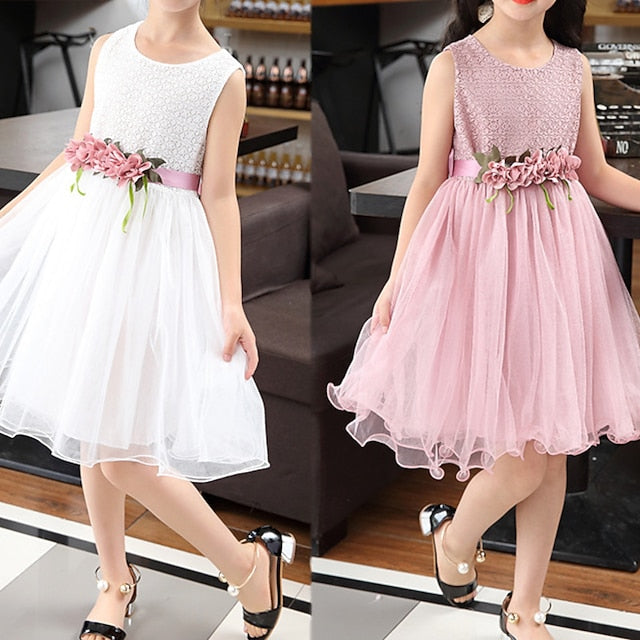 Girl Performance Party Dress Girls' Flower