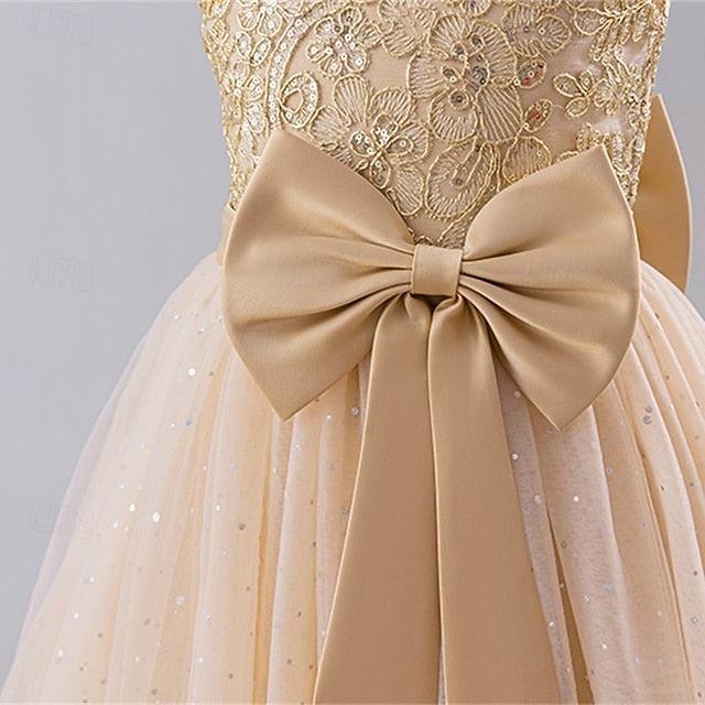Kid's Princess Flower Dress Girls' Girl