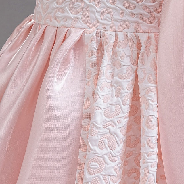 Girl Dress Girls' Formal Flower Wedding Party