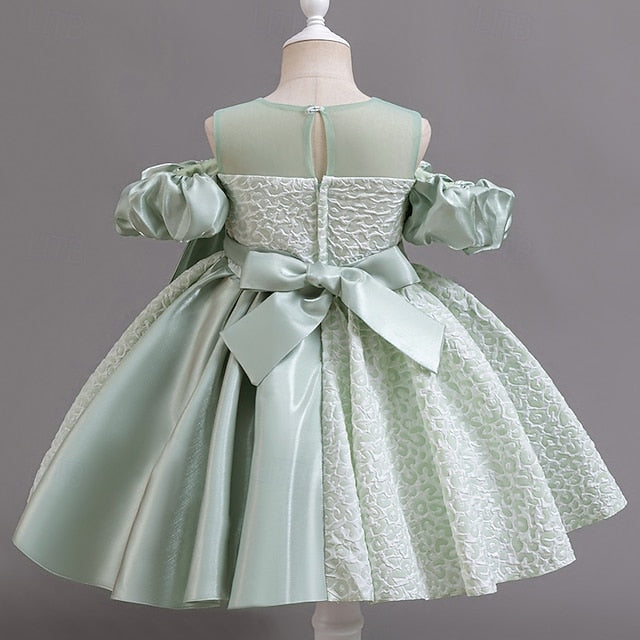 Girl Dress Girls' Formal Flower Wedding Party