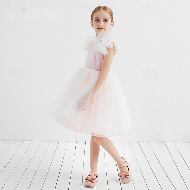Princess Dress Flower Girls' Girl Kid's