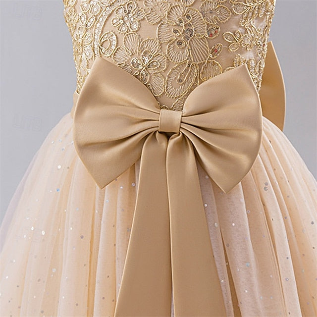 Dress Kids Party Color Block Girl Girls' Flower