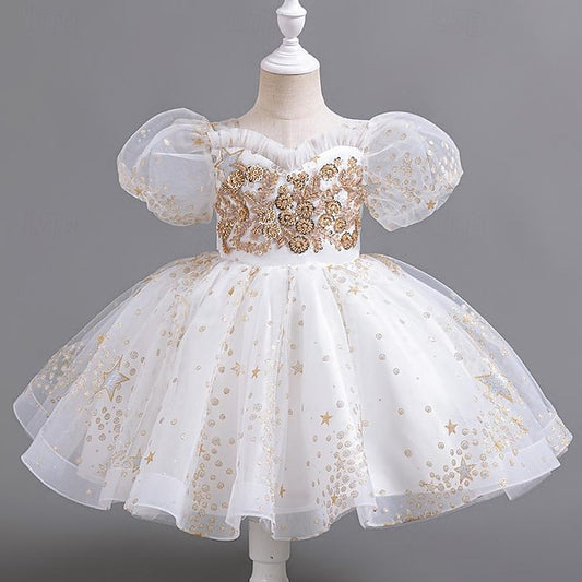 Girl Girls' Dress Sequin Floral Party Flower Kids