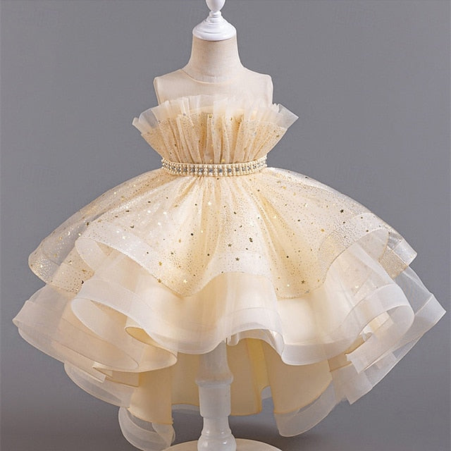Flower Dress Girl Kid's Girls' Princess