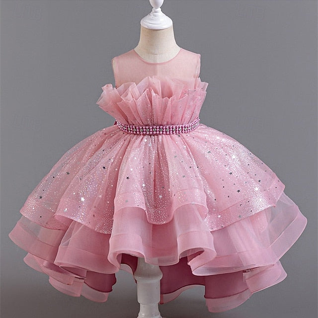 Flower Dress Girl Kid's Girls' Princess