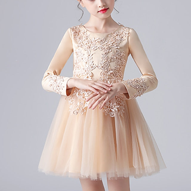 Flower Girl Princess Girls' Party Dress