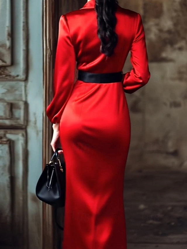 Women's Long Dress Maxi Dress Prom Dress Party Dress Sheath