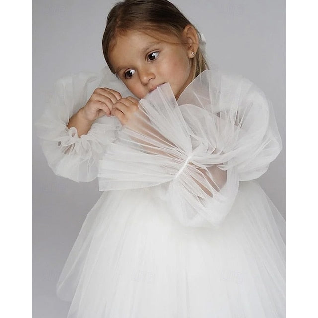 Flower Girls' Girl Dress Kid's Princess