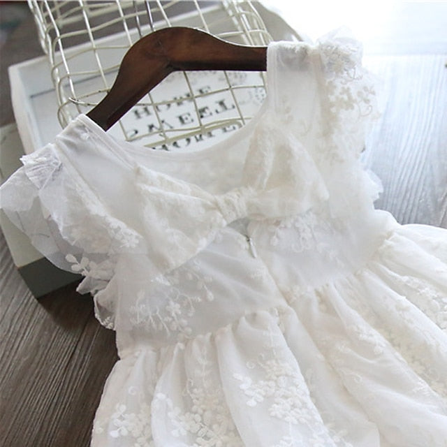 Girl Flower Party Girls' Princess Dress