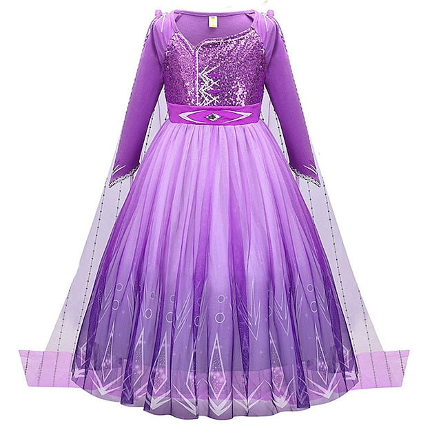 Theme Flower Princess Party Fairytale Anna Dress Frozen Girl