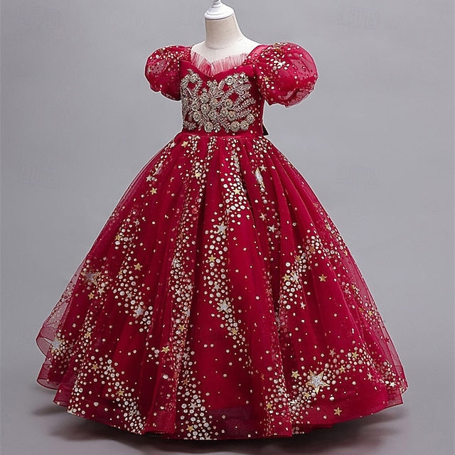 Princess Kid's Girl Dress Flower Girls'