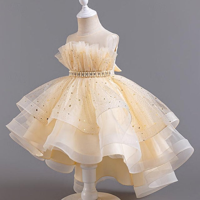 Sequin Girl Dress Sleeveless Flower Girls' Party Kids