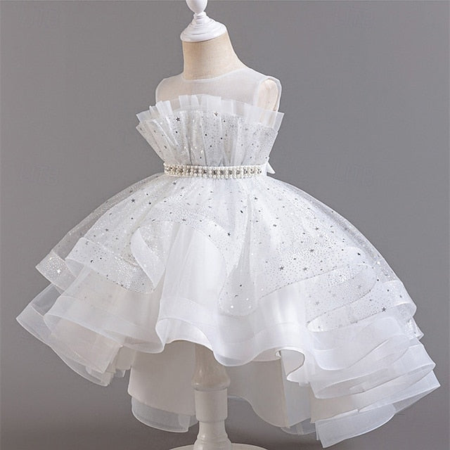 Flower Dress Girl Kid's Girls' Princess