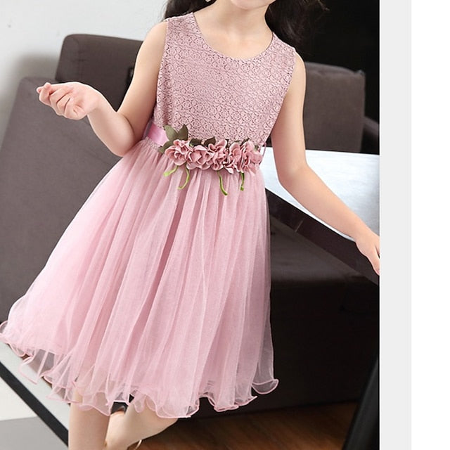 Girl Performance Party Dress Girls' Flower