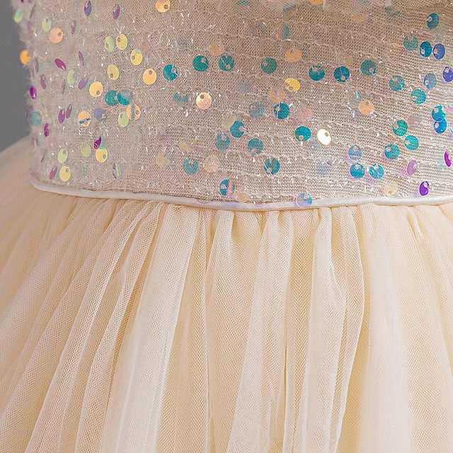 Kids Girls' Sleeveless Flower Party Sequin Girl Dress