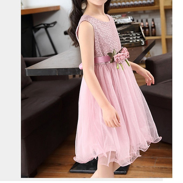 Girl Performance Party Dress Girls' Flower