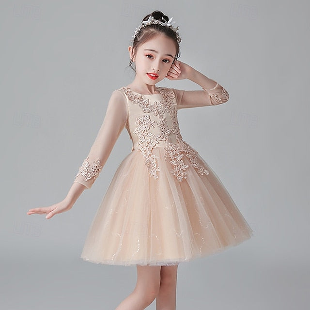 Flower Kid's Girls' Princess Girl Dress