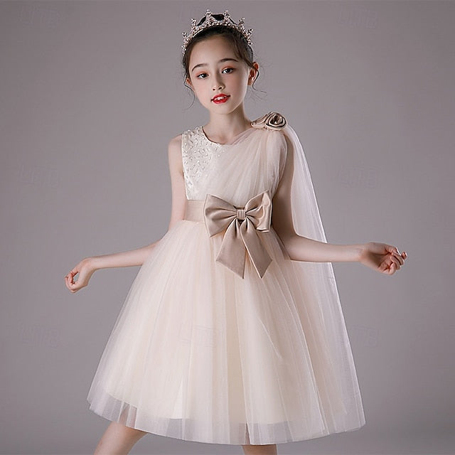 Dress Girls' Girl Princess Flower Kid's
