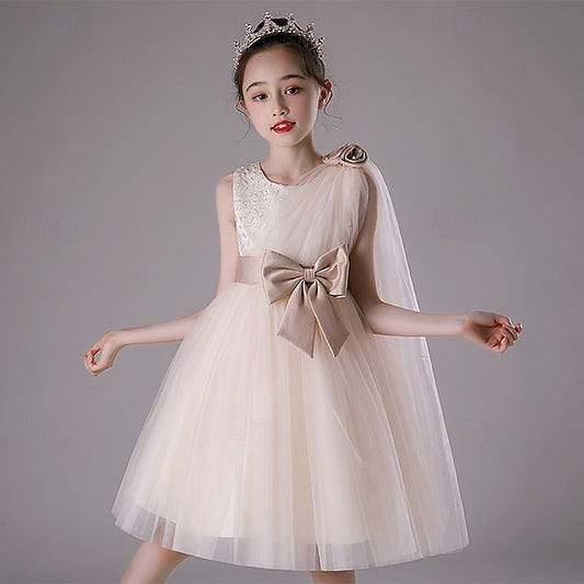 Dress Girls' Girl Princess Flower Kid's