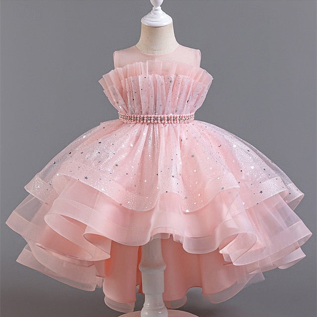 Flower Dress Girl Kid's Girls' Princess
