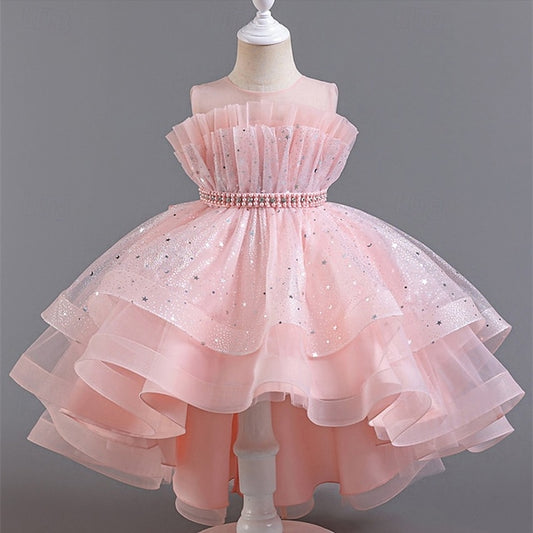 Flower Dress Girl Kid's Girls' Princess