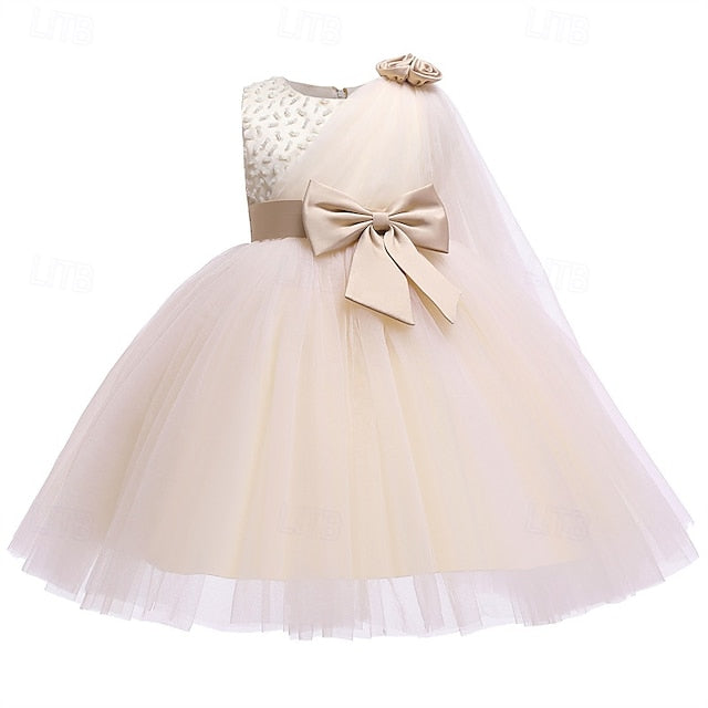 Dress Girls' Girl Princess Flower Kid's