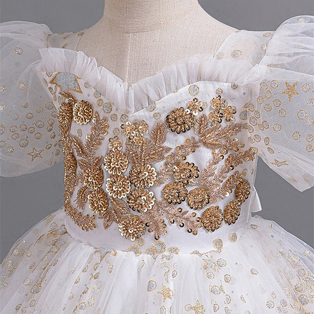 Princess Kid's Girl Dress Flower Girls'