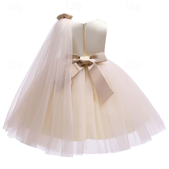 Dress Girls' Girl Princess Flower Kid's