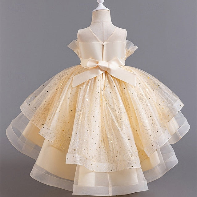 Flower Dress Girl Kid's Girls' Princess