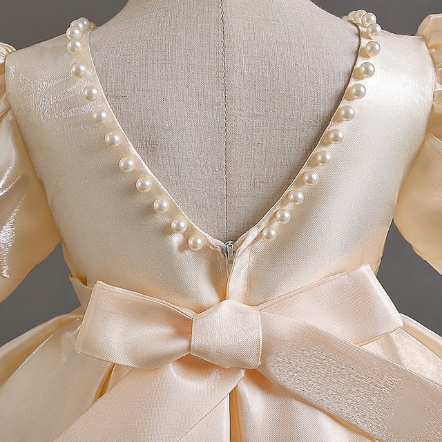 Girls' Dress Party Flower Girl Wedding Special