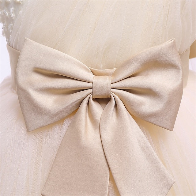 Dress Girls' Girl Princess Flower Kid's