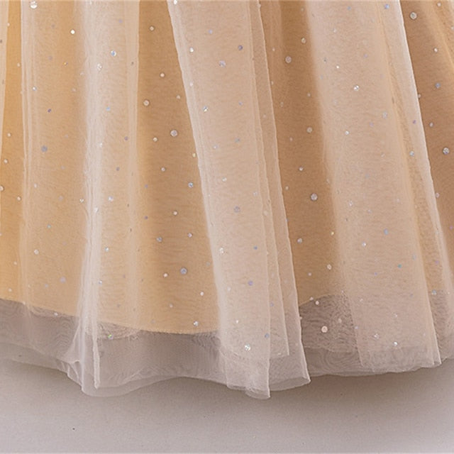 Kid's Princess Flower Dress Girls' Girl