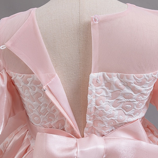 Girl Dress Girls' Formal Flower Wedding Party