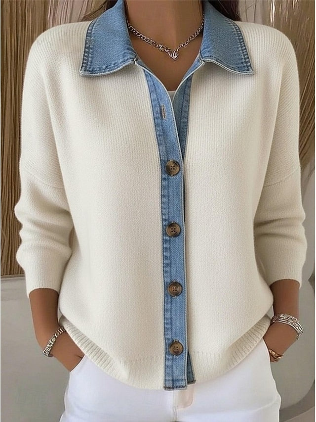 Women's Sweater Elegant Vintage Basic Turndown Shirt Collar
