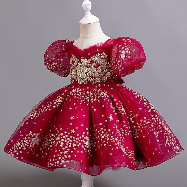 Girl Girls' Dress Sequin Floral Party Flower Kids