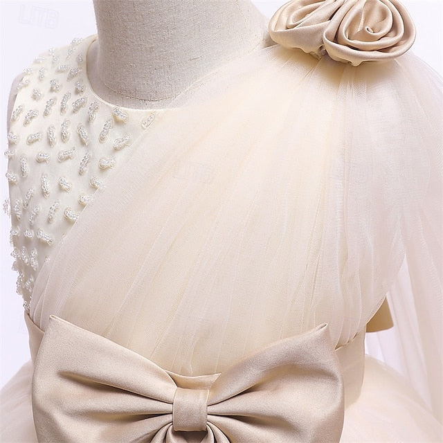 Princess Girl Girls' Kid's Flower Dress