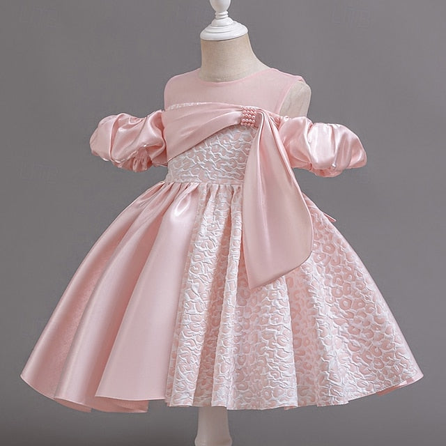 Girl Dress Girls' Formal Flower Wedding Party