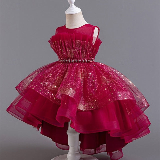 Flower Dress Girl Kid's Girls' Princess