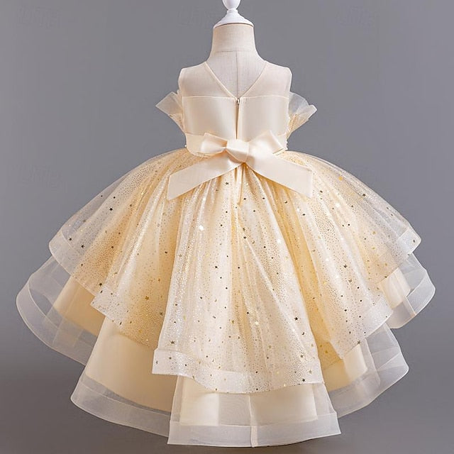Sequin Girl Dress Sleeveless Flower Girls' Party Kids