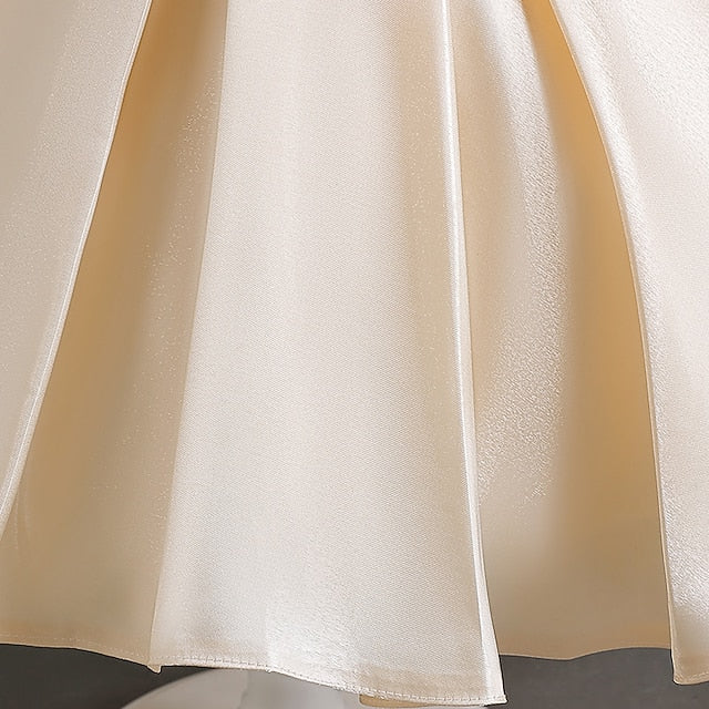 Girls' Dress Party Flower Girl Wedding Special